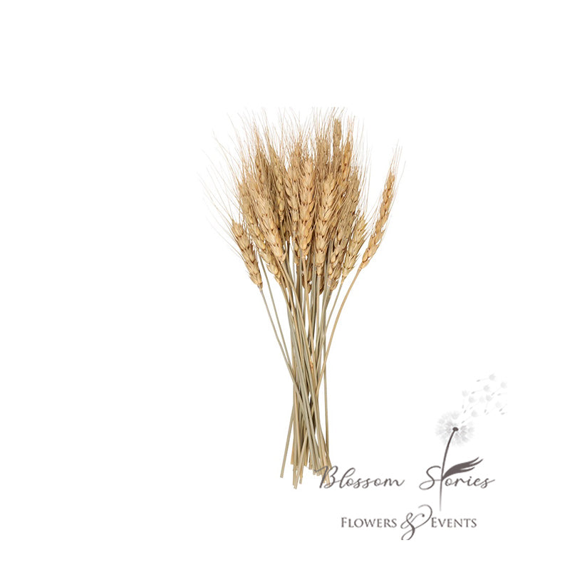 Wheat bouquet